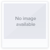 1974-1975-1976 New York Mets Topps Team Sets (81) Cards Total w/Tom Seaver VG- Ex/MT (image 1/[null, null, null, null, null, null, null, null, null, null])